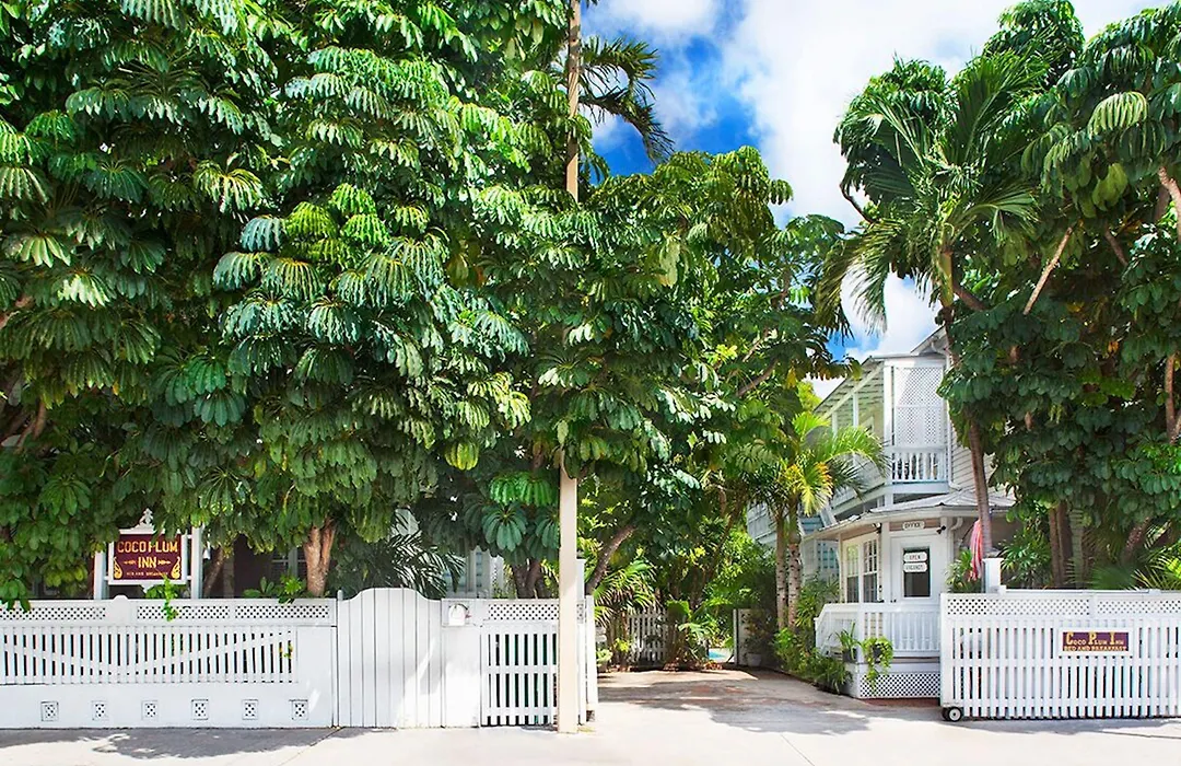 Coco Plum Inn-1