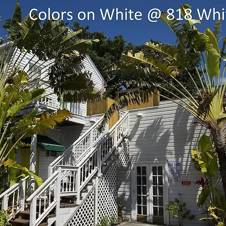 Colors On White-3