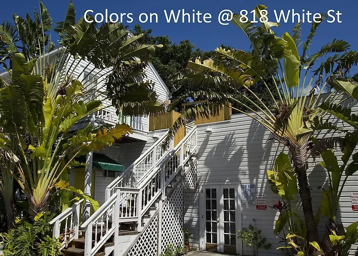 Colors On White Apartment Key West